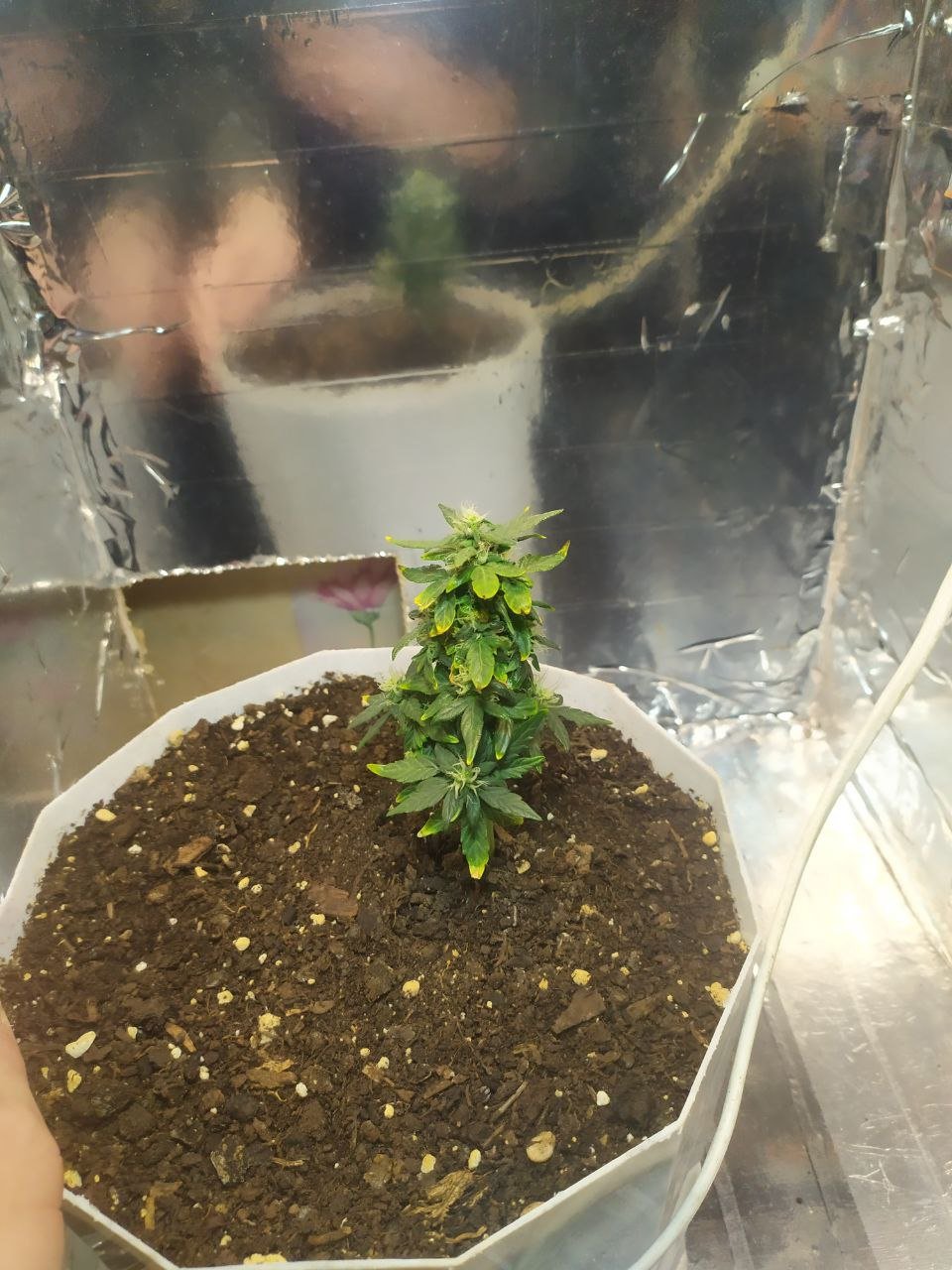 photo_2023-04-06_15-14-17 (6).jpg