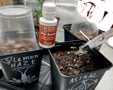 Без имени-2.png