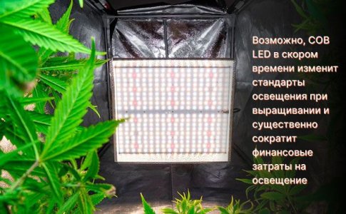 COB LED лампы для выращивания конопли