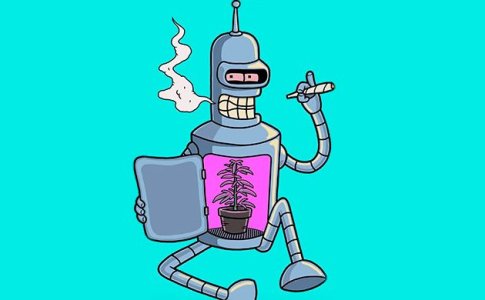 Выбор гроубокса для конопли