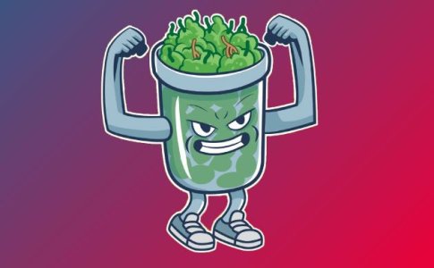 Что такое Fast и Early версия сортов конопли?