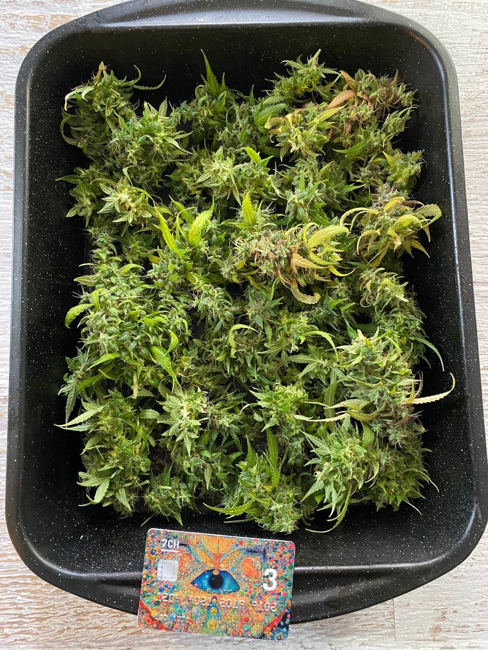 photo1682172184 (3).jpeg