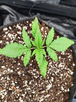 IMG_20230504_180952.jpg IMG_20230504_180952.jpg