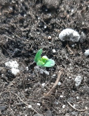 20230425_155734 1).jpg