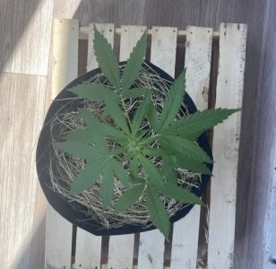 2023-06-07 09-53-10.jpg