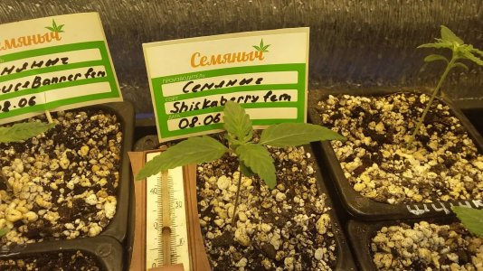 20230616_005419 .jpg