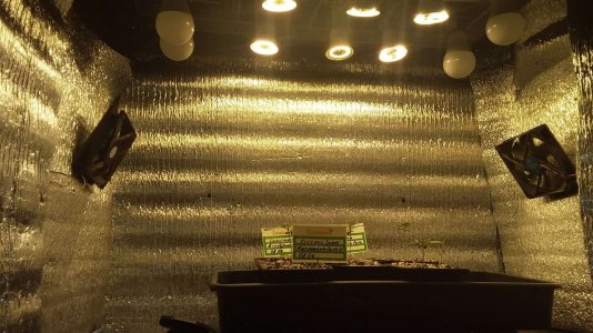 20230616_023910 .jpg