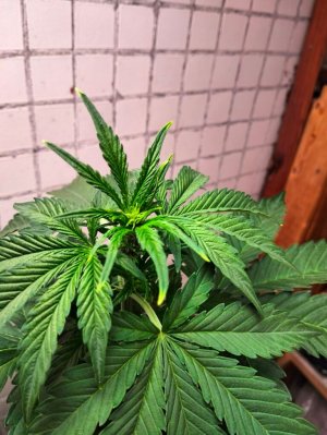 image-2023-07-03 22_28_30 (1).jpg