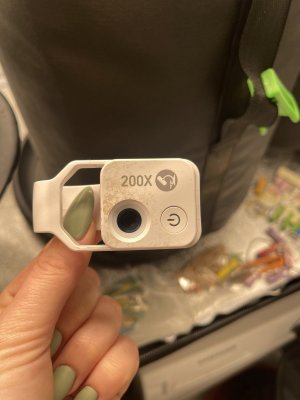 IMG_8411.jpeg IMG_8411.jpeg