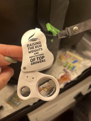 IMG_8412.jpeg IMG_8412.jpeg