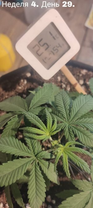 WhatsApp Image 2023-07-20 at 15.32.13.jpeg