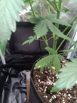 photo_2023-08-08_12-56-11 (2).jpg