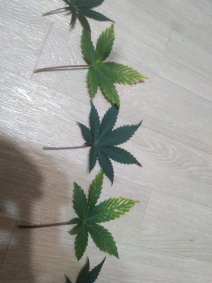 photo_2023-08-08_12-56-13 (2).jpg