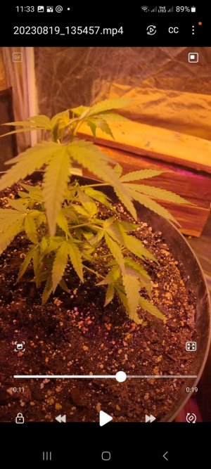 Screenshot_20230820_113308_Video Player.jpg