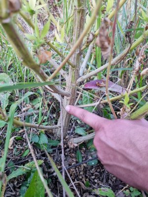 PHOTO-2023-09-30-08-40-47 (1).jpg