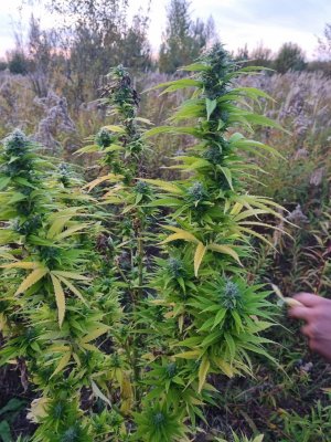 PHOTO-2023-09-30-08-40-48 (2).jpg