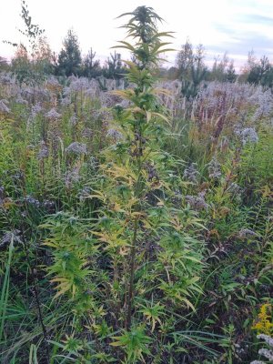 PHOTO-2023-09-30-08-40-48 (3).jpg