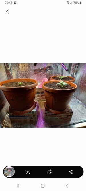 Screenshot_20220110-004632_Gallery.jpg Screenshot_20220110-004632_Gallery.jpg