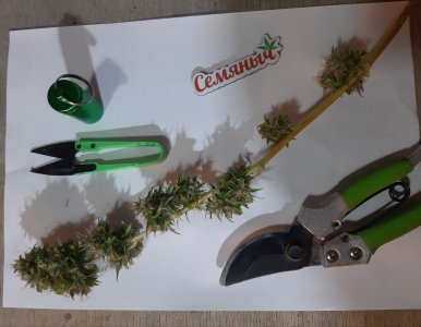 20220122_202107.jpg 20220122_202107.jpg