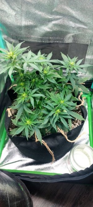 2023.11.13 - 40 день.jpg