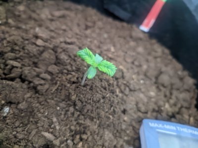 photo_2023-11-28_18-12-36 (3).jpg