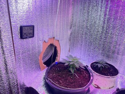 101e6486-aad9-4630-9047-81d8ecd915a5.jpg 101e6486-aad9-4630-9047-81d8ecd915a5.jpg