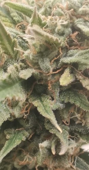 2024-1-16 12-3-4.jpg