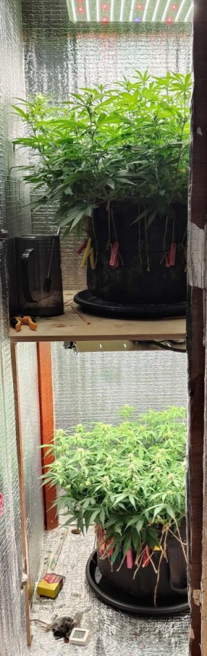 Общий план.jpg