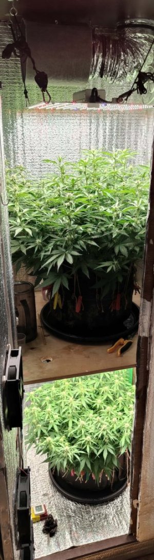 Общий план.jpg