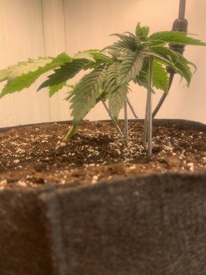 IMG_0067.jpeg IMG_0067.jpeg