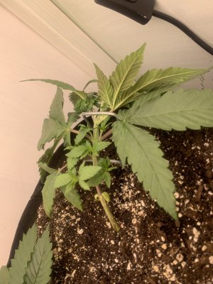 IMG_0071.jpeg IMG_0071.jpeg