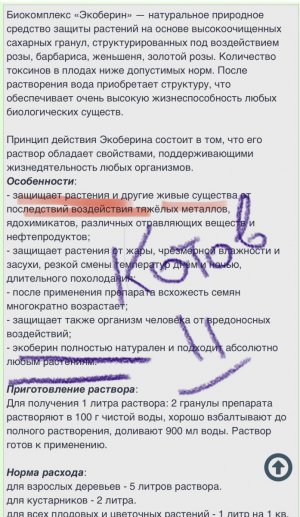 IMG_0093.jpeg IMG_0093.jpeg