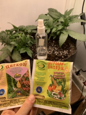 IMG_0144.jpeg IMG_0144.jpeg