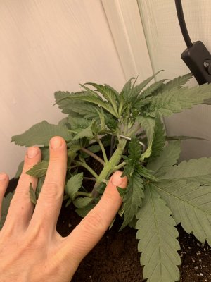 IMG_0143.jpeg IMG_0143.jpeg