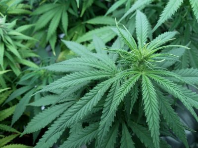 IMG_20220214_134732_344.jpg IMG_20220214_134732_344.jpg