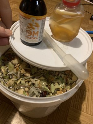 IMG_0279.jpeg IMG_0279.jpeg