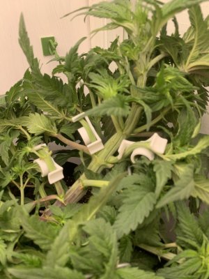 IMG_0307.jpeg IMG_0307.jpeg