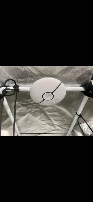 Датчик дыма.jpeg