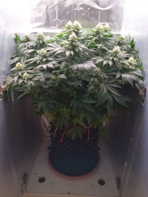 1000009111.jpg 1000009111.jpg