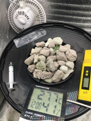 1710771132335.png 1710771132335.png