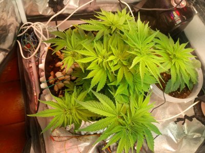 2024-04-01 111416.jpg