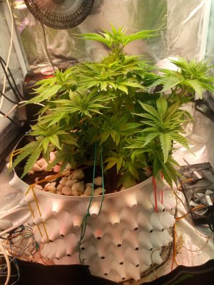 2024-04-01 111436.jpg