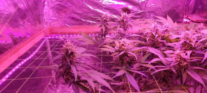 WhatsApp Image 2024-04-07 at 19.51.11 (2).jpeg