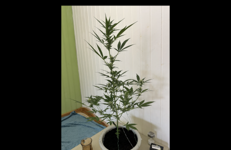 Снимок экрана 2024-04-11 в 07.48.37.png