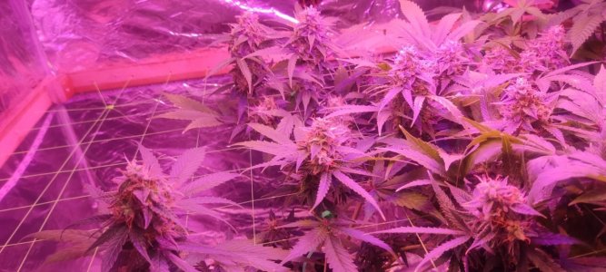 WhatsApp Image 2024-04-20 at 10.05.18 (3).jpeg