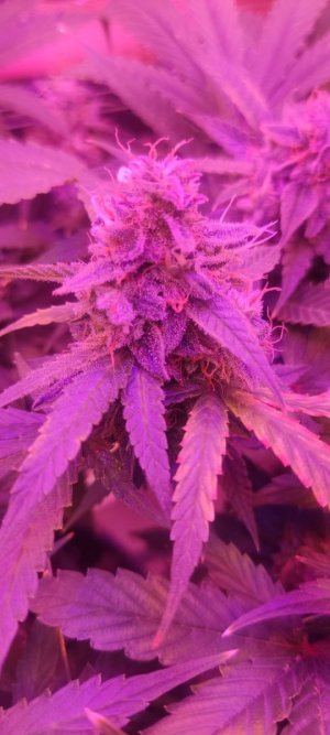 WhatsApp Image 2024-04-20 at 10.13.06 (1).jpeg