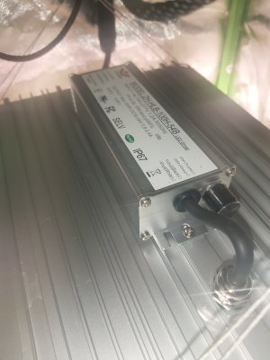 20240423_194642.jpg 20240423_194642.jpg