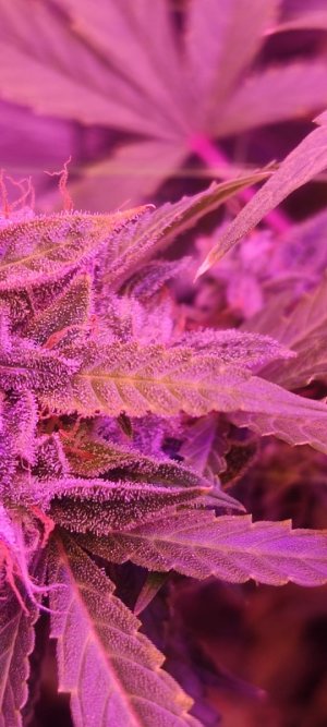 WhatsApp Image 2024-04-28 at 13.56.17.jpeg