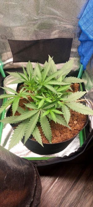 2024.04.28 - 20 день.jpg