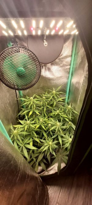 2024.05.20 - 42 день.jpg